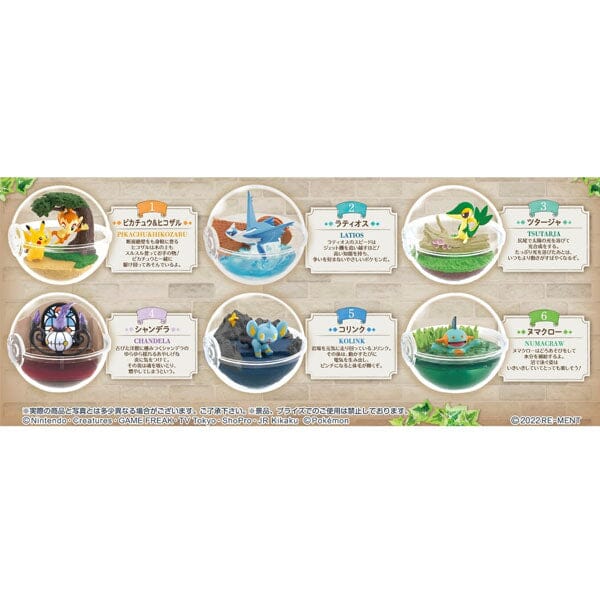 Re-Ment Pokémon: Terrarium Collection Vol. 12 Blind Box (1pc) - Image 8