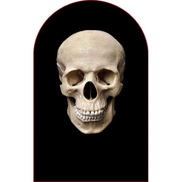 FaceFreakz Sheisty Mask Transparent Halloween Stocking Balaclava (Multiple Styles) - Image 5